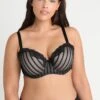 City Chic Fifi Bra - Beugel Bh - Black/Latte -Damesmode a3a97051c8934e4691bda6e49d793157