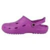Dux Duflex Unisex - Clogs - Violett Brombeer 2 Dux Duflex Unisex - Clogs - Violett Brombeer -Damesmode cd8b8516727e4e9ebe13e6298f285ef4